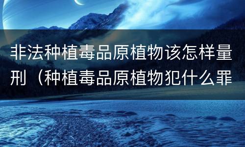 非法种植毒品原植物该怎样量刑（种植毒品原植物犯什么罪）