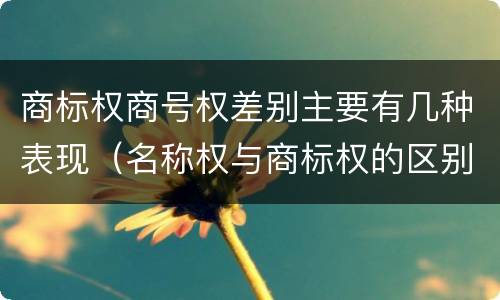商标权商号权差别主要有几种表现（名称权与商标权的区别）