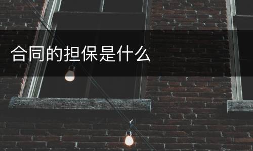 合同的担保是什么