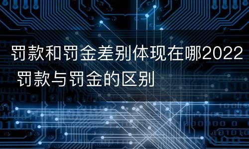 罚款和罚金差别体现在哪2022 罚款与罚金的区别