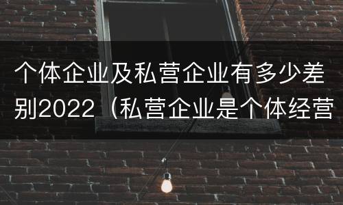 个体企业及私营企业有多少差别2022（私营企业是个体经营吗）