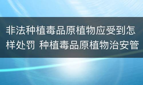 非法种植毒品原植物应受到怎样处罚 种植毒品原植物治安管理处罚法