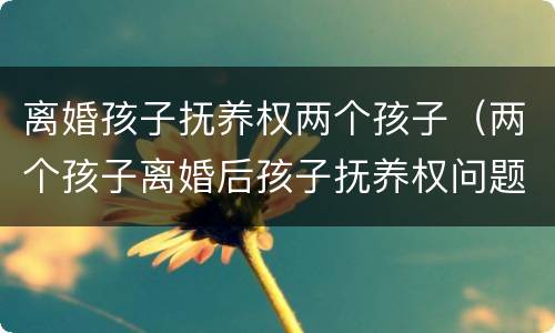 离婚孩子抚养权两个孩子（两个孩子离婚后孩子抚养权问题）
