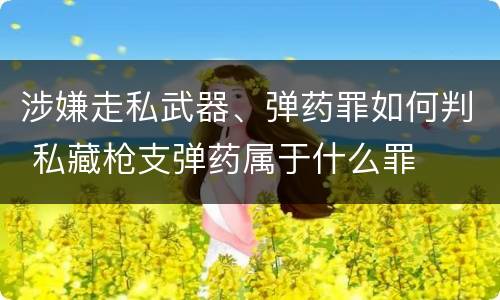 涉嫌走私武器、弹药罪如何判 私藏枪支弹药属于什么罪