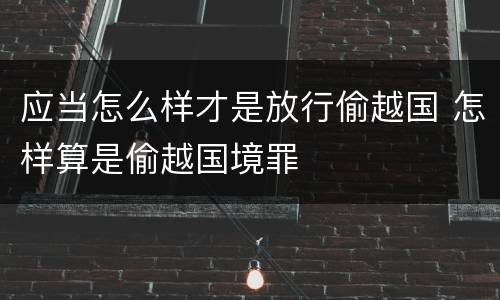 应当怎么样才是放行偷越国 怎样算是偷越国境罪