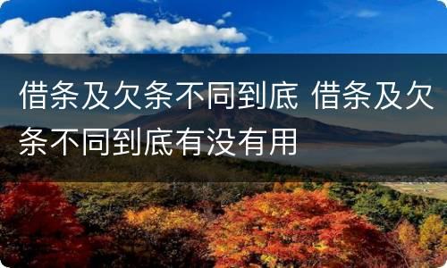 借条及欠条不同到底 借条及欠条不同到底有没有用