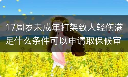17周岁未成年打架致人轻伤满足什么条件可以申请取保候审的