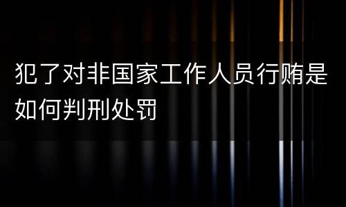 犯了对非国家工作人员行贿是如何判刑处罚