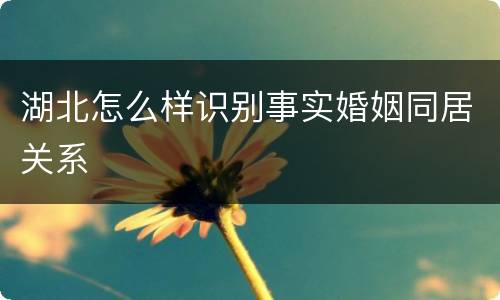 湖北怎么样识别事实婚姻同居关系