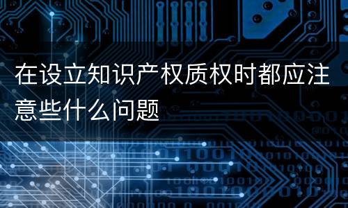 在设立知识产权质权时都应注意些什么问题