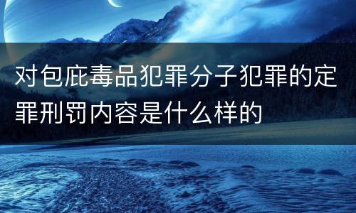 对包庇毒品犯罪分子犯罪的定罪刑罚内容是什么样的