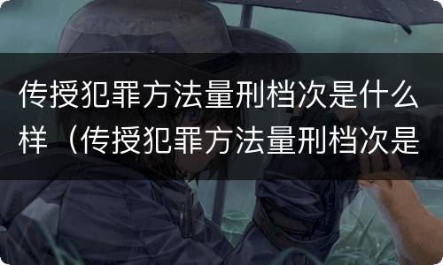 传授犯罪方法量刑档次是什么样（传授犯罪方法量刑档次是什么样子的）