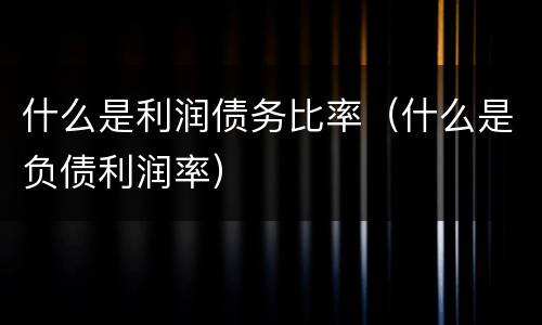 什么是利润债务比率（什么是负债利润率）