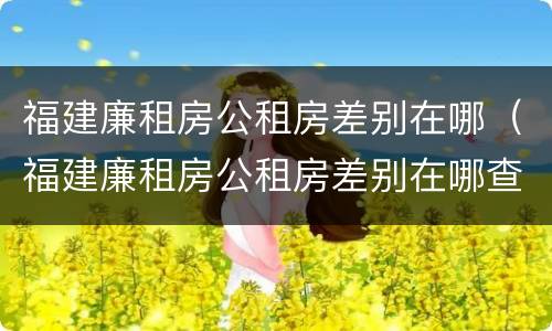 福建廉租房公租房差别在哪（福建廉租房公租房差别在哪查）