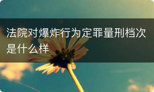 法院对爆炸行为定罪量刑档次是什么样