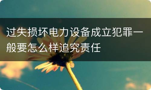 过失损坏电力设备成立犯罪一般要怎么样追究责任
