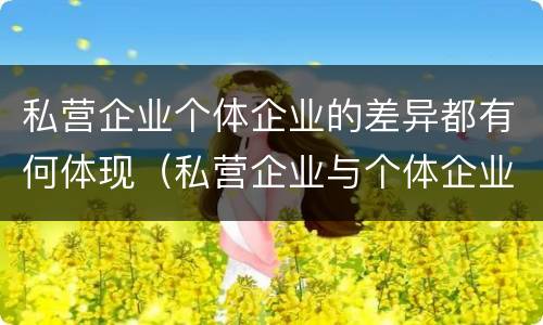 私营企业个体企业的差异都有何体现（私营企业与个体企业）