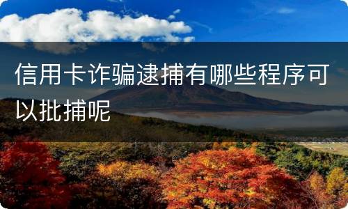 信用卡诈骗逮捕有哪些程序可以批捕呢