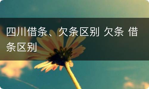 四川借条、欠条区别 欠条 借条区别