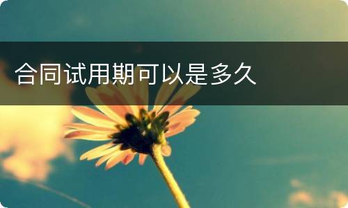 合同试用期可以是多久