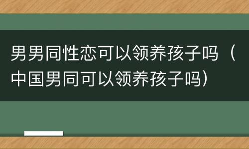 男男同性恋可以领养孩子吗（中国男同可以领养孩子吗）