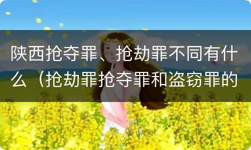 陕西抢夺罪、抢劫罪不同有什么（抢劫罪抢夺罪和盗窃罪的区别）