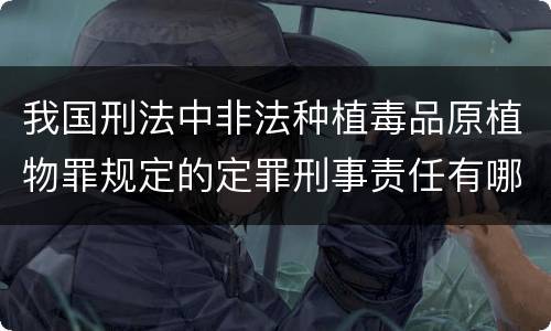 我国刑法中非法种植毒品原植物罪规定的定罪刑事责任有哪些