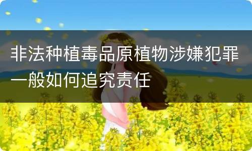非法种植毒品原植物涉嫌犯罪一般如何追究责任