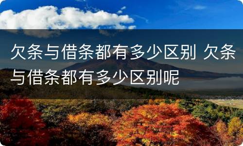 欠条与借条都有多少区别 欠条与借条都有多少区别呢