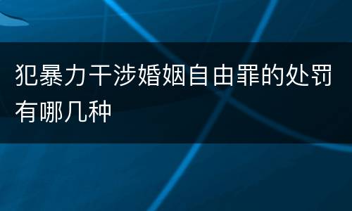 犯暴力干涉婚姻自由罪的处罚有哪几种