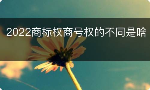 2022商标权商号权的不同是啥