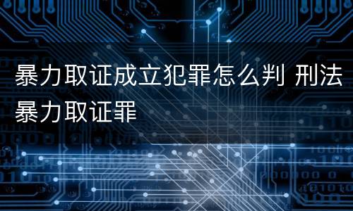 暴力取证成立犯罪怎么判 刑法暴力取证罪