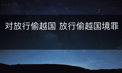 对放行偷越国 放行偷越国境罪