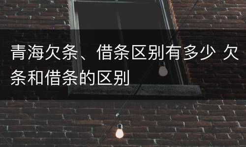 青海欠条、借条区别有多少 欠条和借条的区别