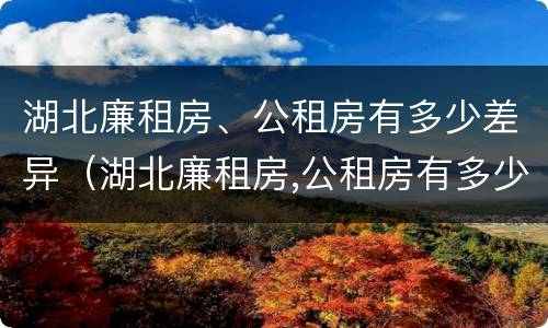 湖北廉租房、公租房有多少差异（湖北廉租房,公租房有多少差异啊）