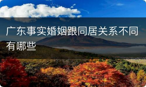 广东事实婚姻跟同居关系不同有哪些