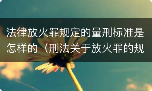 法律放火罪规定的量刑标准是怎样的（刑法关于放火罪的规定）