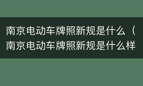 南京电动车牌照新规是什么（南京电动车牌照新规是什么样的）