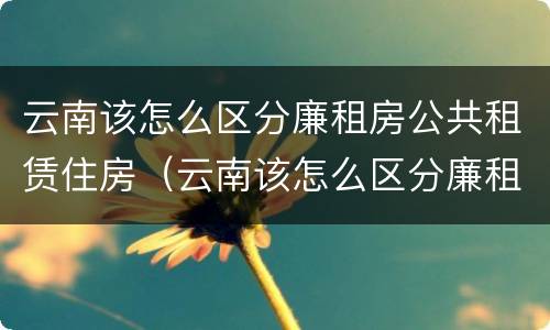 云南该怎么区分廉租房公共租赁住房（云南该怎么区分廉租房公共租赁住房呢）
