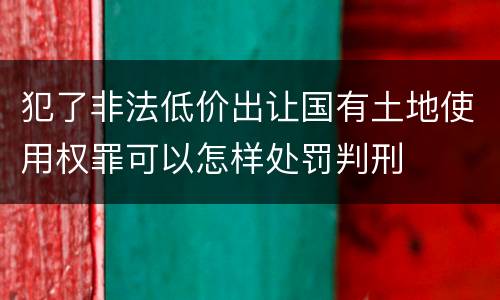 犯了非法低价出让国有土地使用权罪可以怎样处罚判刑