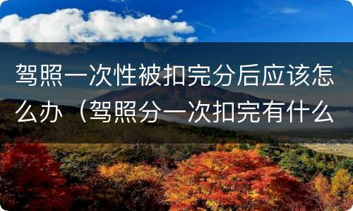驾照一次性被扣完分后应该怎么办（驾照分一次扣完有什么影响）