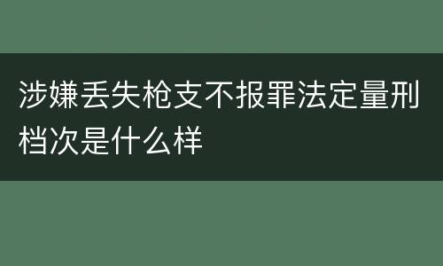 涉嫌丢失枪支不报罪法定量刑档次是什么样