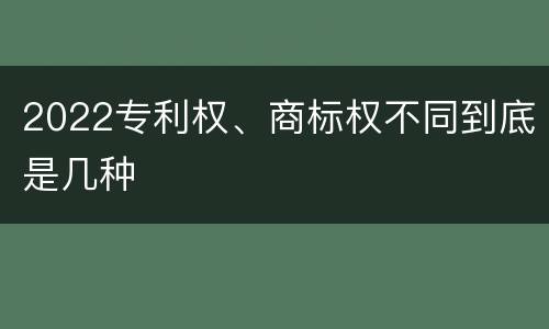 2022专利权、商标权不同到底是几种