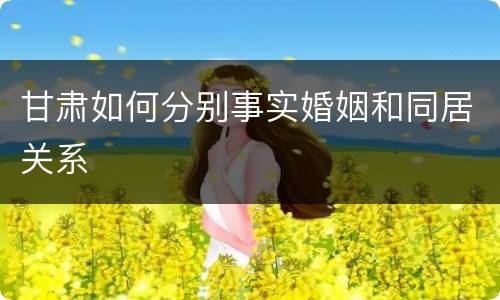 甘肃如何分别事实婚姻和同居关系