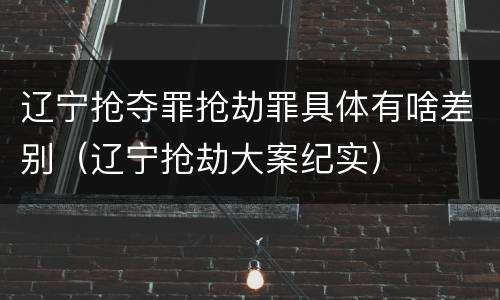 辽宁抢夺罪抢劫罪具体有啥差别（辽宁抢劫大案纪实）