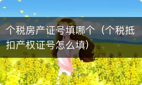 个税房产证号填哪个（个税抵扣产权证号怎么填）