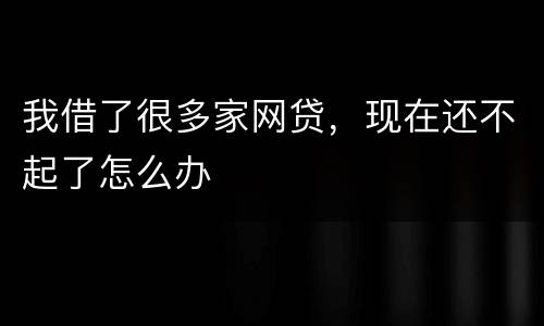 我借了很多家网贷，现在还不起了怎么办