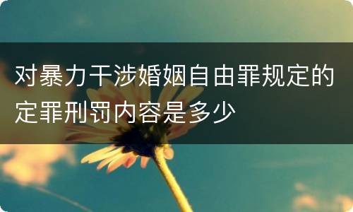 对暴力干涉婚姻自由罪规定的定罪刑罚内容是多少