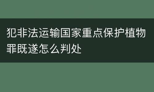 犯非法运输国家重点保护植物罪既遂怎么判处