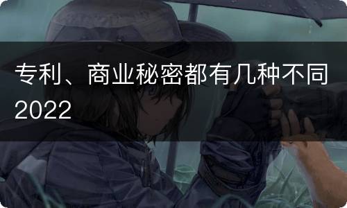 专利、商业秘密都有几种不同2022